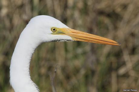 Lo más destacado de 2021