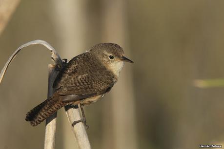 Lo más destacado de 2021