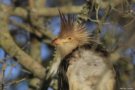 Lo más destacado de 2021