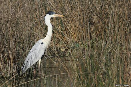 Lo más destacado de 2021