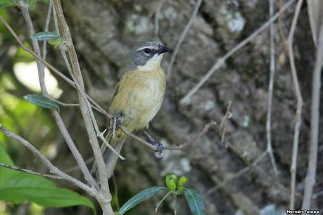 Lo más destacado de 2021