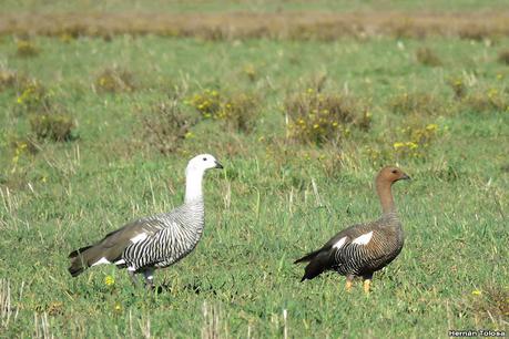 Lo más destacado de 2021