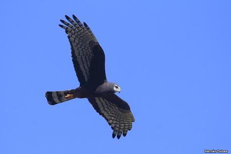 Lo más destacado de 2021