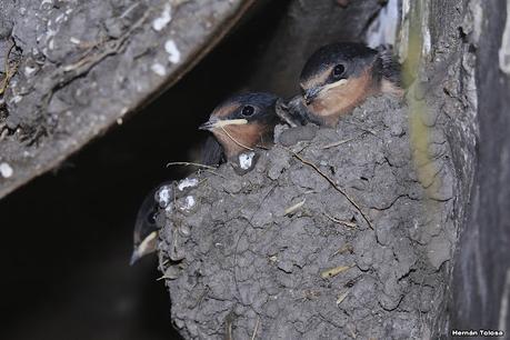 Lo más destacado de 2021