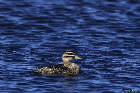 Lo más destacado de 2021