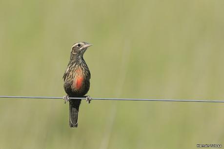 Lo más destacado de 2021