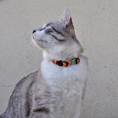 Happy Walkies. Accesorios para perros y gatos Happy Walkies. Accesorios para perros y gatos