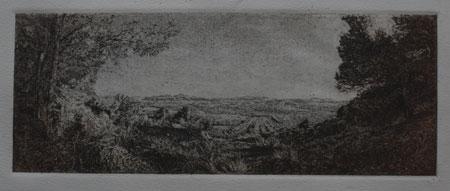 6º Premio Grabado Dcoop