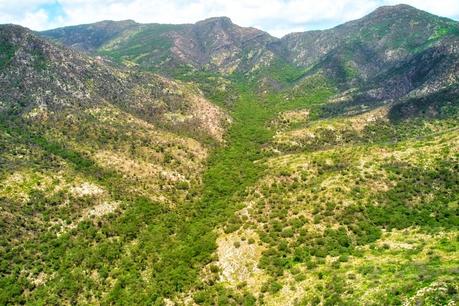Amparo no frena Decreto de Área Natural Protegida de Sierra de San Miguelito