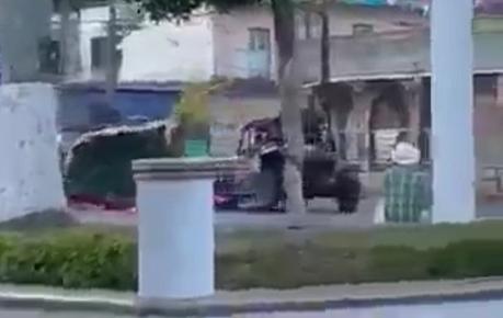 (Video) Con razer derriba árbol de navidad en Tamasopo