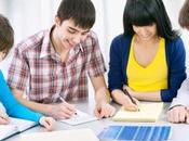 cultura aprendizaje desempeño dentro pymes