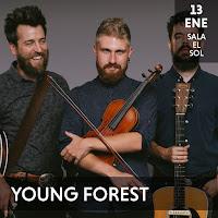 Concierto de Young Forest en Sala el Sol