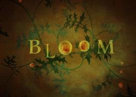 Una Planta que te Rejuvenece