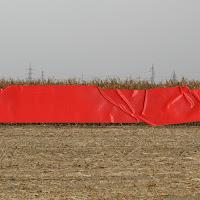 Ashinoa anuncia disco