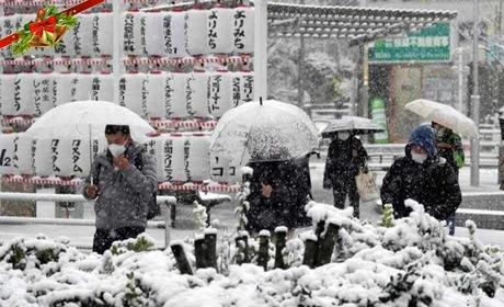 Tokio: El país se mantiene en alerta por fuerte temporal de nieve