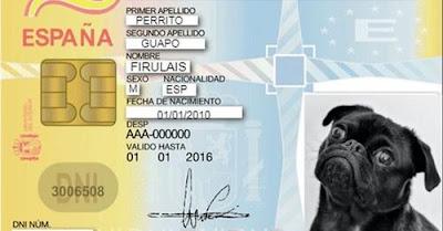 Un DNI para animales.