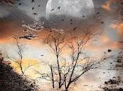 4.885 cárcel sueños...