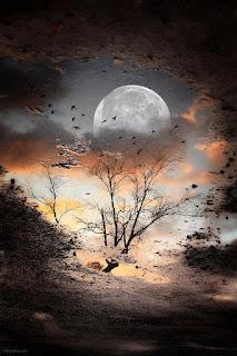 4.885 - CÁRCEL DE SUEÑOS... 4.885 - CÁRCEL DE SUEÑOS...