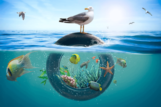 3º Premio Fotografia TNU Diego Lonjedo Premio Fotografia