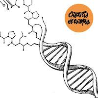 Chaqueta de Chándal estrenan Tu a Boston y yo a California