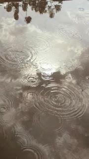 4.888 - LLUVIA DEL CIELO...