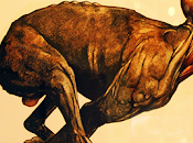 Corazón perro (1925), mijaíl bulgákov. advenimiento hombre nuevo.