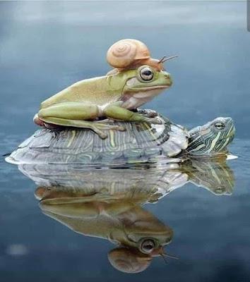 Los abusos a menores por parte de la Iglesia… Y pasaron los reyes.