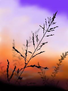 4.889 - EN EL DESIERTO...