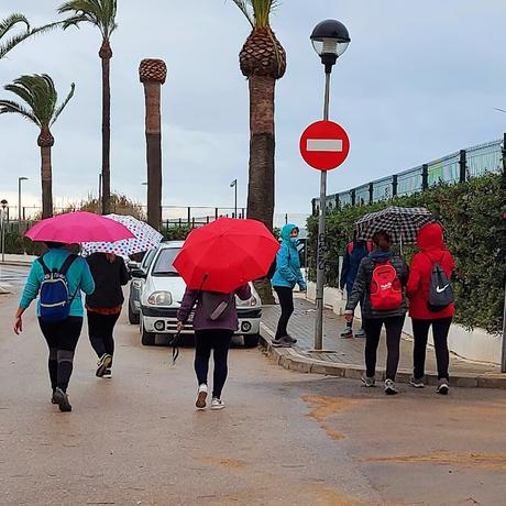 VACACIONES NAVIDEÑAS EN CÁDIZ.