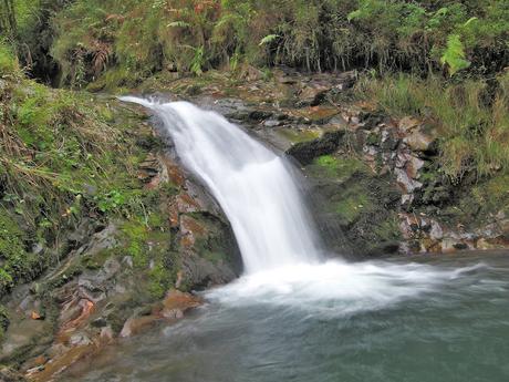 Bosque de Moñacos (Circular hasta la Majada Felguerina)