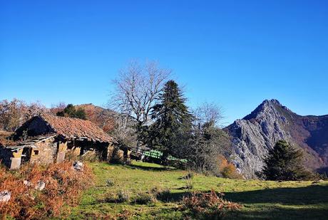 Bosque de Moñacos (Circular hasta la Majada Felguerina)