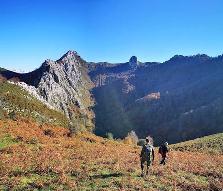 Bosque de Moñacos (Circular hasta la Majada Felguerina) Bosque de Moñacos (Circular hasta la Majada Felguerina)
