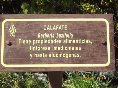 Parque Nacional Los alerces, un regalo de la Patagonia andina