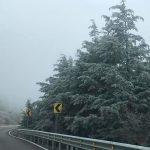 (Galería) Se reporta agua nieve en la Sierra de Álvarez