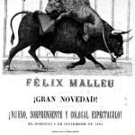 1896:lucha de toro y león en la Plaza de Toros de Santander