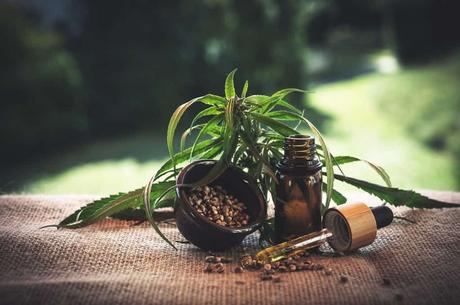 Los beneficios del CBD para la salud 1