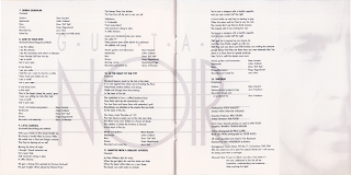 Steve Hackett - Guitar Noir (1993)