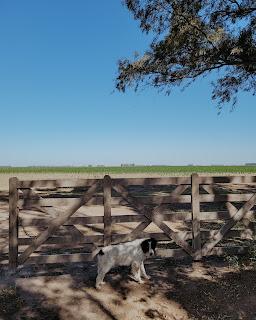 Escapada de Campo y Playa por el sudeste de la Provincia de Buenos Aires