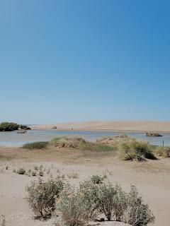 Escapada de Campo y Playa por el sudeste de la Provincia de Buenos Aires