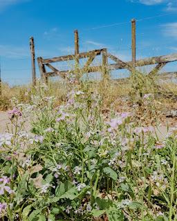 Escapada de Campo y Playa por el sudeste de la Provincia de Buenos Aires