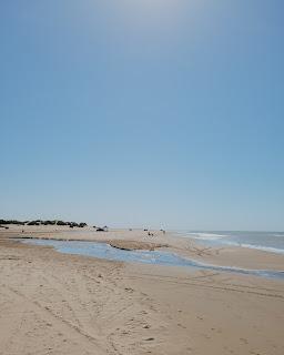 Escapada de Campo y Playa por el sudeste de la Provincia de Buenos Aires