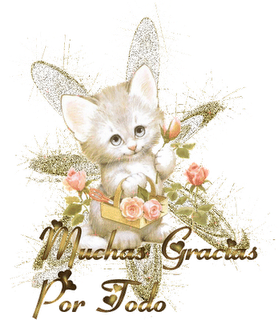 ¡Gracias a los mas de 50 Seguidores!