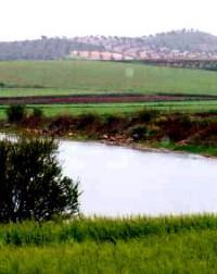 Lagunas de Campillos