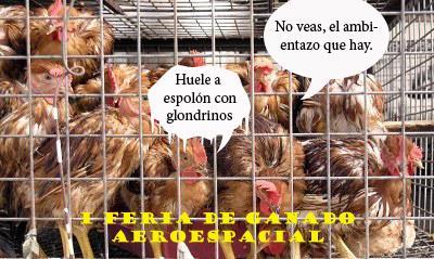 feria ganao espacial I Feria del Ganado Aeroespacial