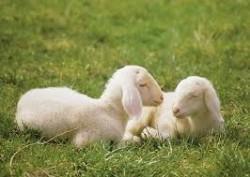 Una Vida No Tiene Precio