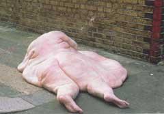 Suicidio Pecero A veces menos es más