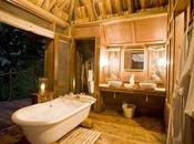 Cabanas rusticas arbol