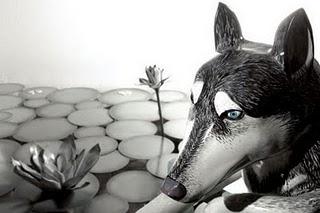 Mira cuantos barcos aún navegan!