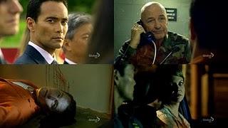 Five-0, back in business