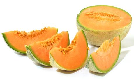 http://zirbi.files.wordpress.com/2011/01/melon-cantaloup.jpg